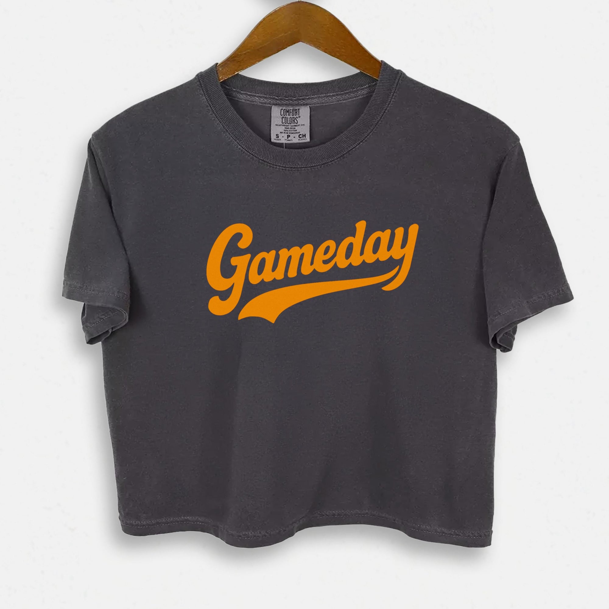 Game Day Vintage Crop Top - view 4